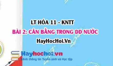 Thuyết Acid Base của Bronsted Lowry, khái niệm Acid-Base, pH và ý nghĩa của pH trong thực tiễn? Hóa 11 bài 2 KNTT